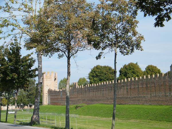 montagnana-f5b