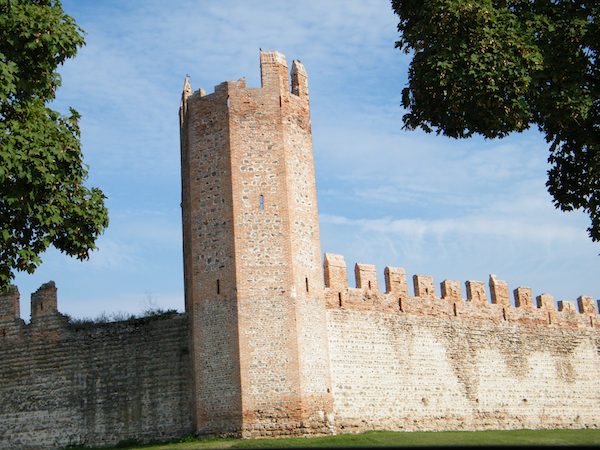 montagnana-f6b