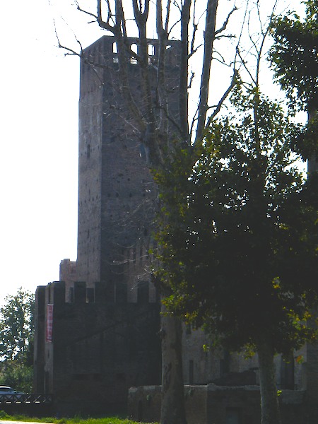 montagnana-f8a