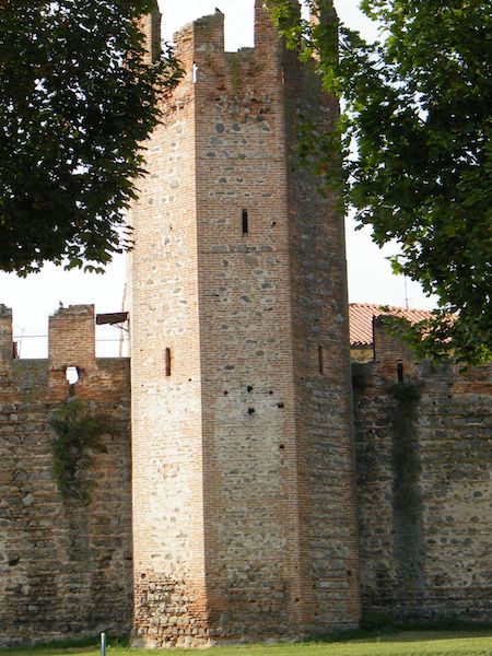 montagnana-f9a